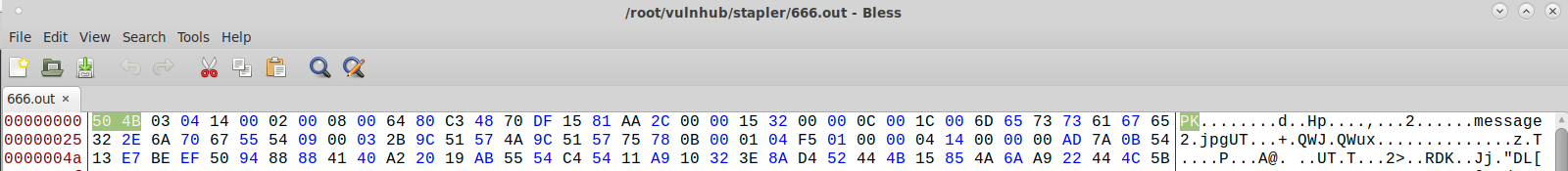 666.out hex editor